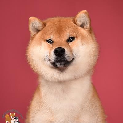 Father - LINIYA POBEDITELYA GUCCI