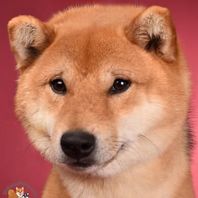 Mother - BABENKO LUNA ISHIKAWA