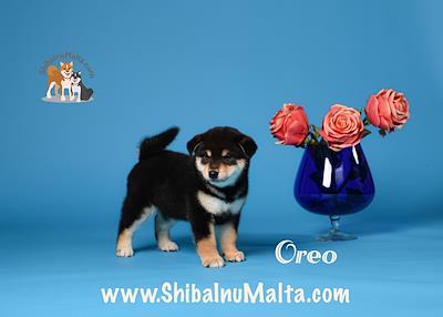 OREO