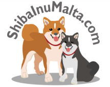 Shiba Inu Malta